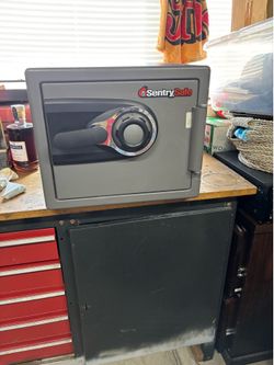 Sentry Safe