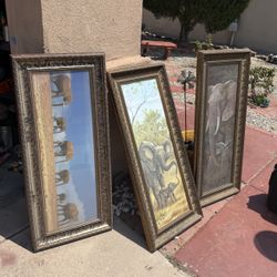 XL Elephant pictures 