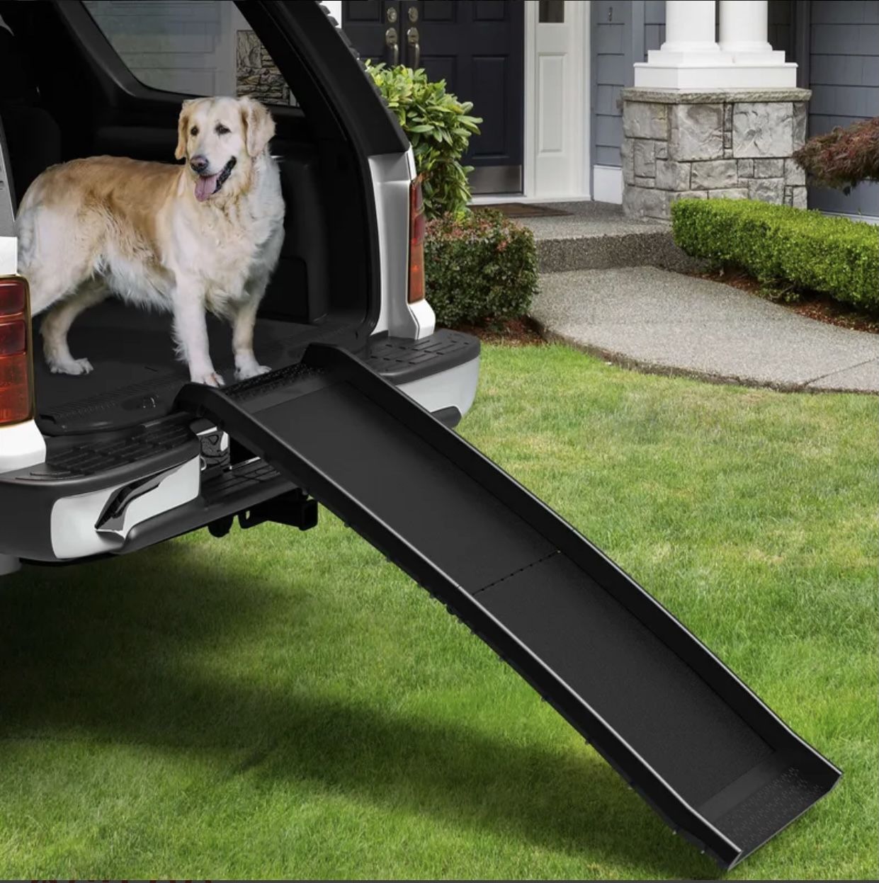 60inch Resin Folding Dog Ramp