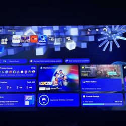 Ps5 PlayStation Slim