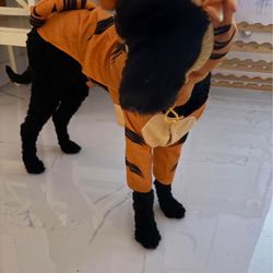 Dog Costume Size Large 