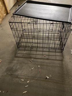 Jaula Para Mascotas En Las Fotos Estan Las Medidas Con Conteiner Para Comida $50 Por Todo