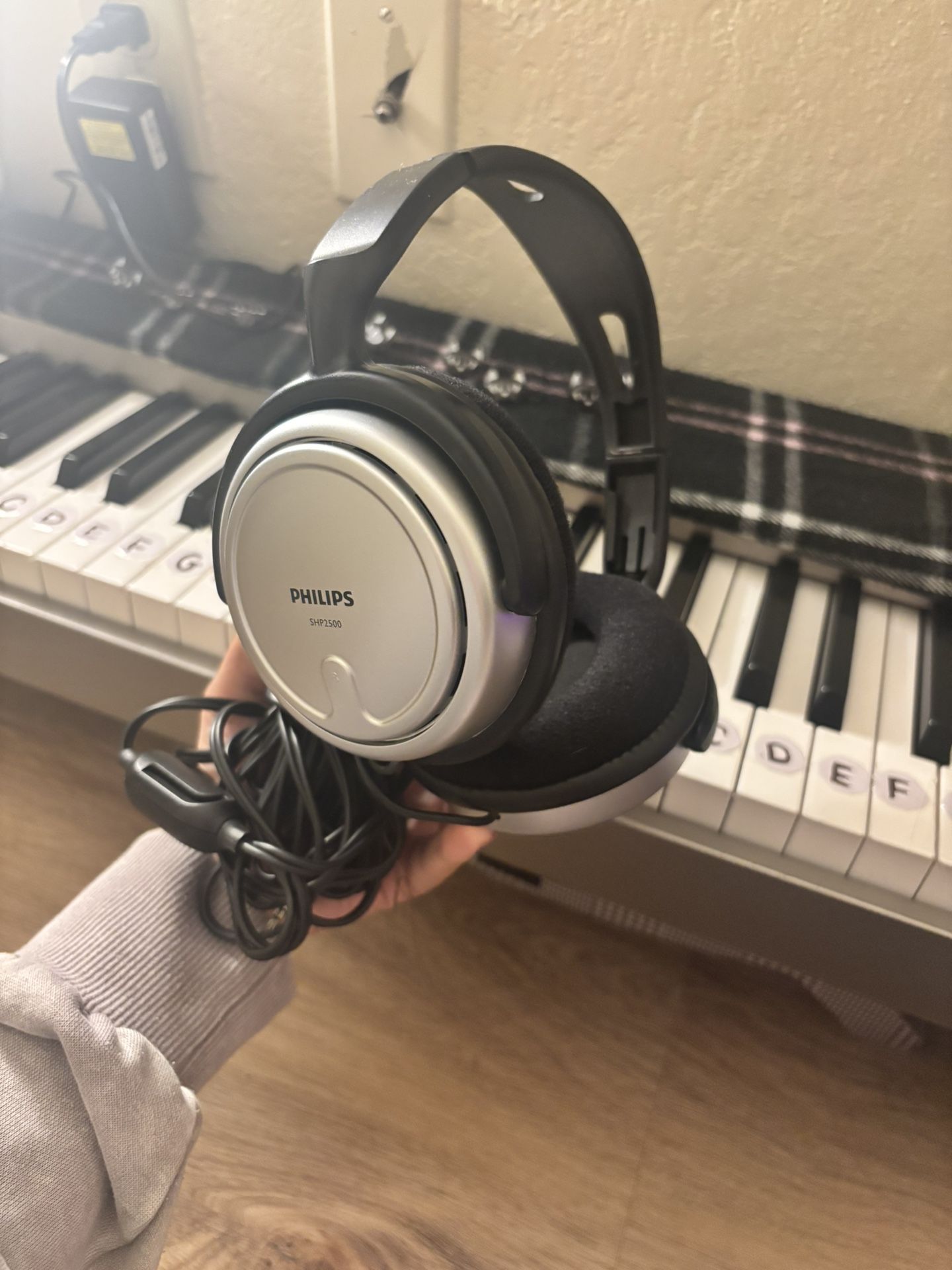 Philips headphones