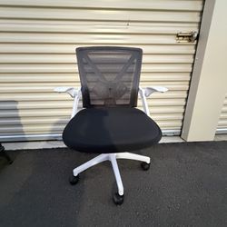 Ergonomic Office Chair