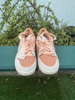 Mens Sz 9.5- Nike SB Dunk Low Trocadero Gardens FV5926-200 New