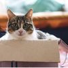 MyBox