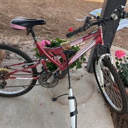 24 " Girls Bike