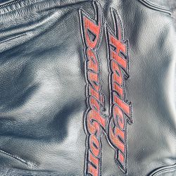 Harley Davidson leather jacket with under vest