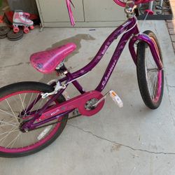 Schwinn Bike