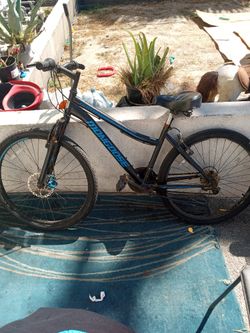 Mongoose Excursion