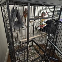Sun Conure Bird Cage
