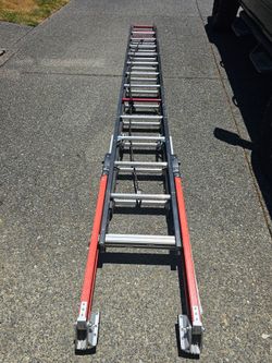 Little giant ladder