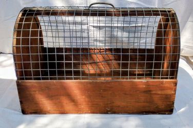 Vintage handmade wooden pet crate