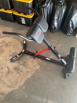 Sunny Health & Fitness Roman Chair with Dip Station
