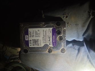 Western digital 4.0 terabyte hard drive
