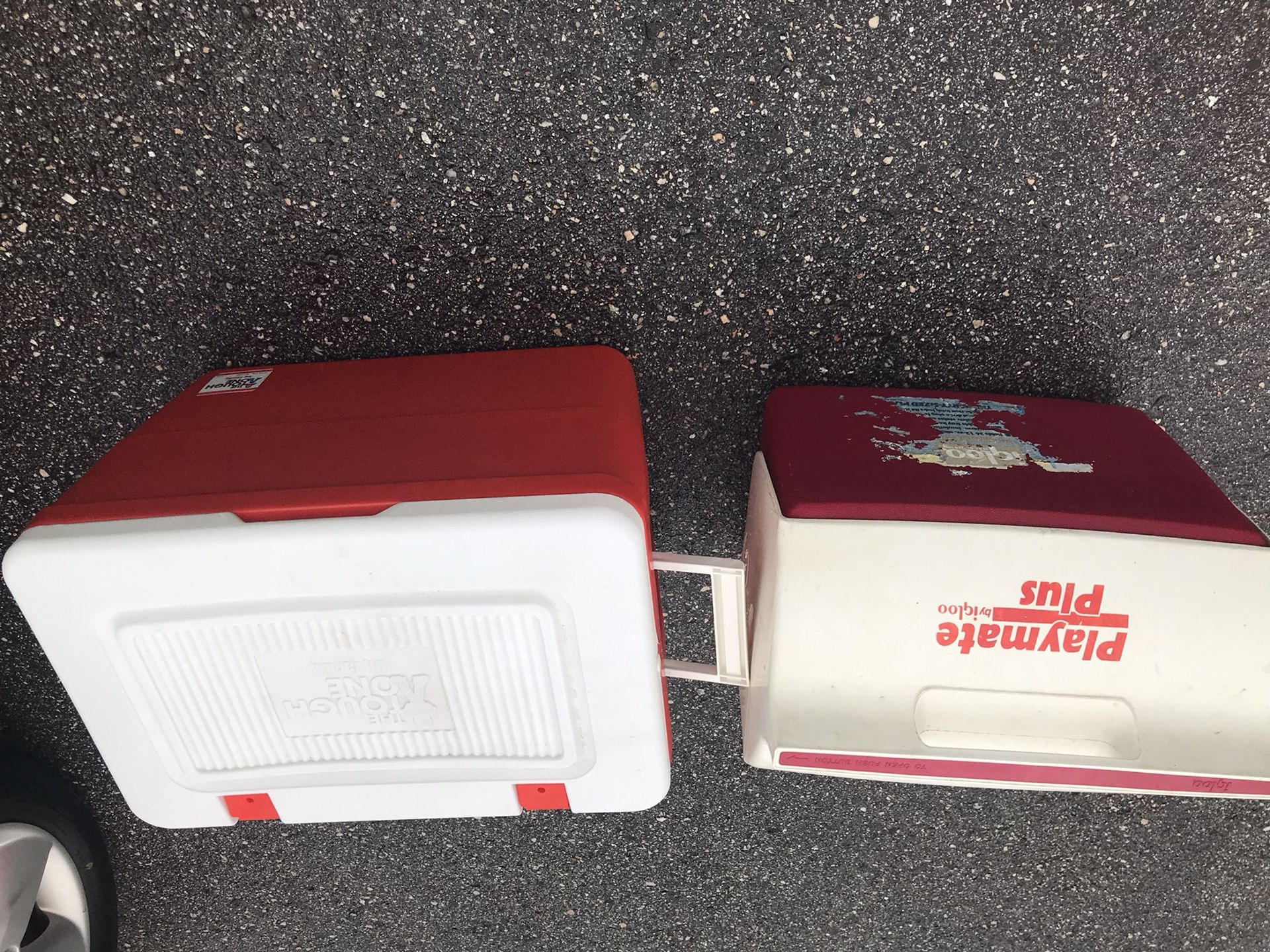 Cooler $10 each