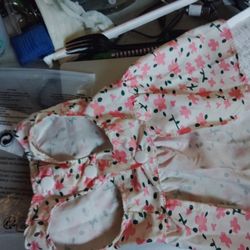 Dog Or Cat.   Pink Ribbon Dress