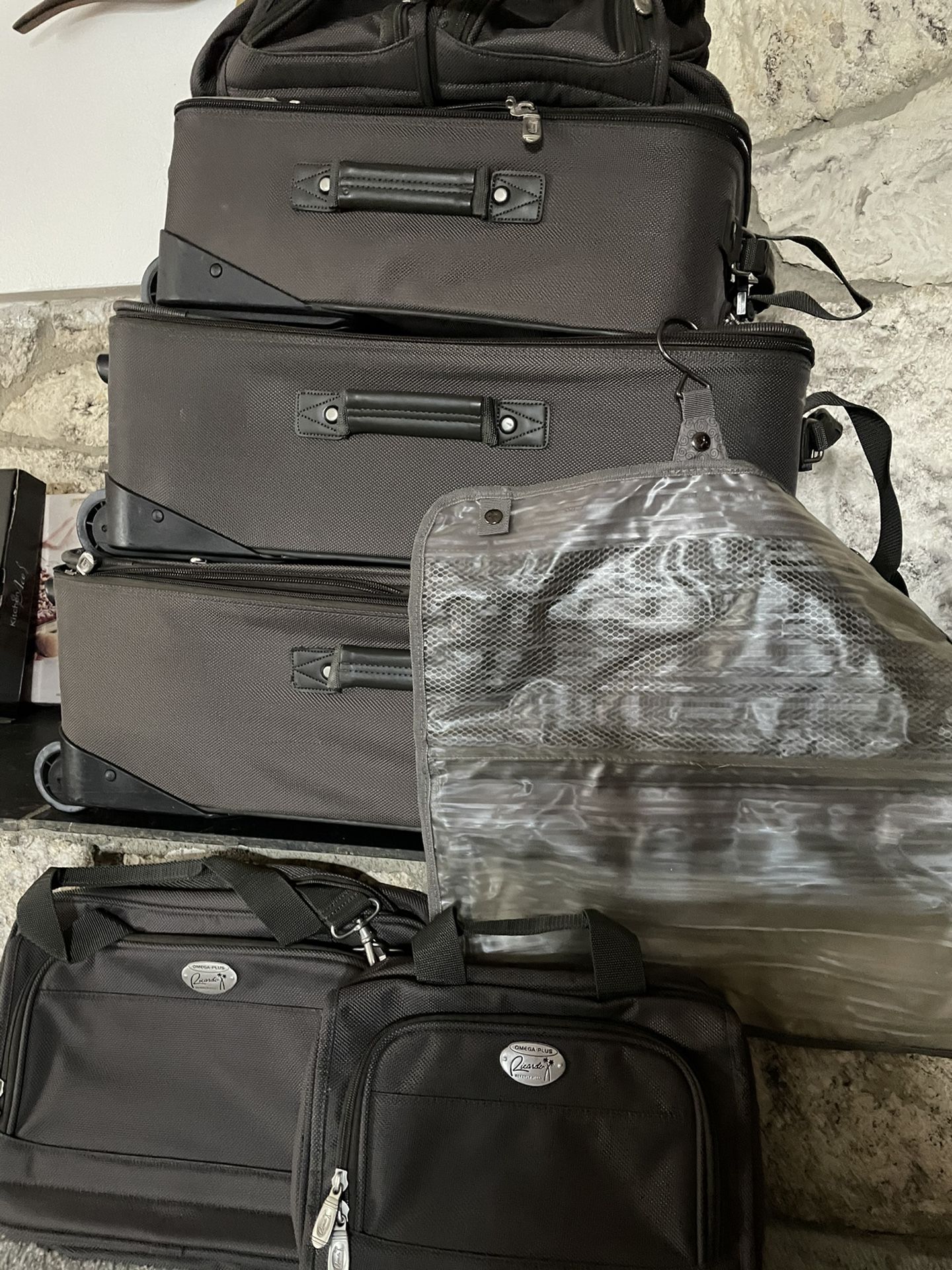 Luggage Ricardo Beverly Hills Omega Plus