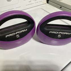 Pro Form Hand Weights 