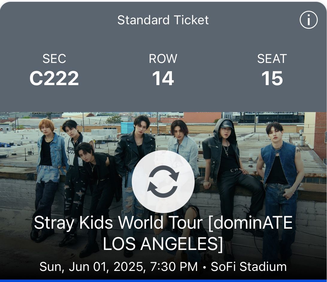 Stray Kids Concert
