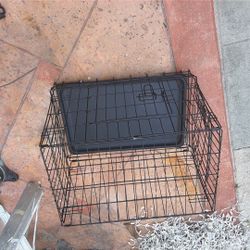 Dog Cage 