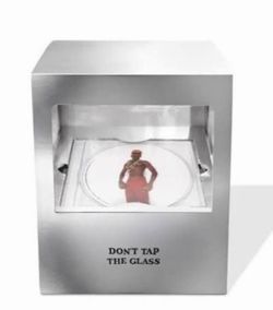 Tyler the creator, dont tap the glass box