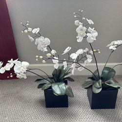 Pair of Small Potted Orchid Plant Decor 