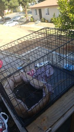 Dog kennel for sale $50