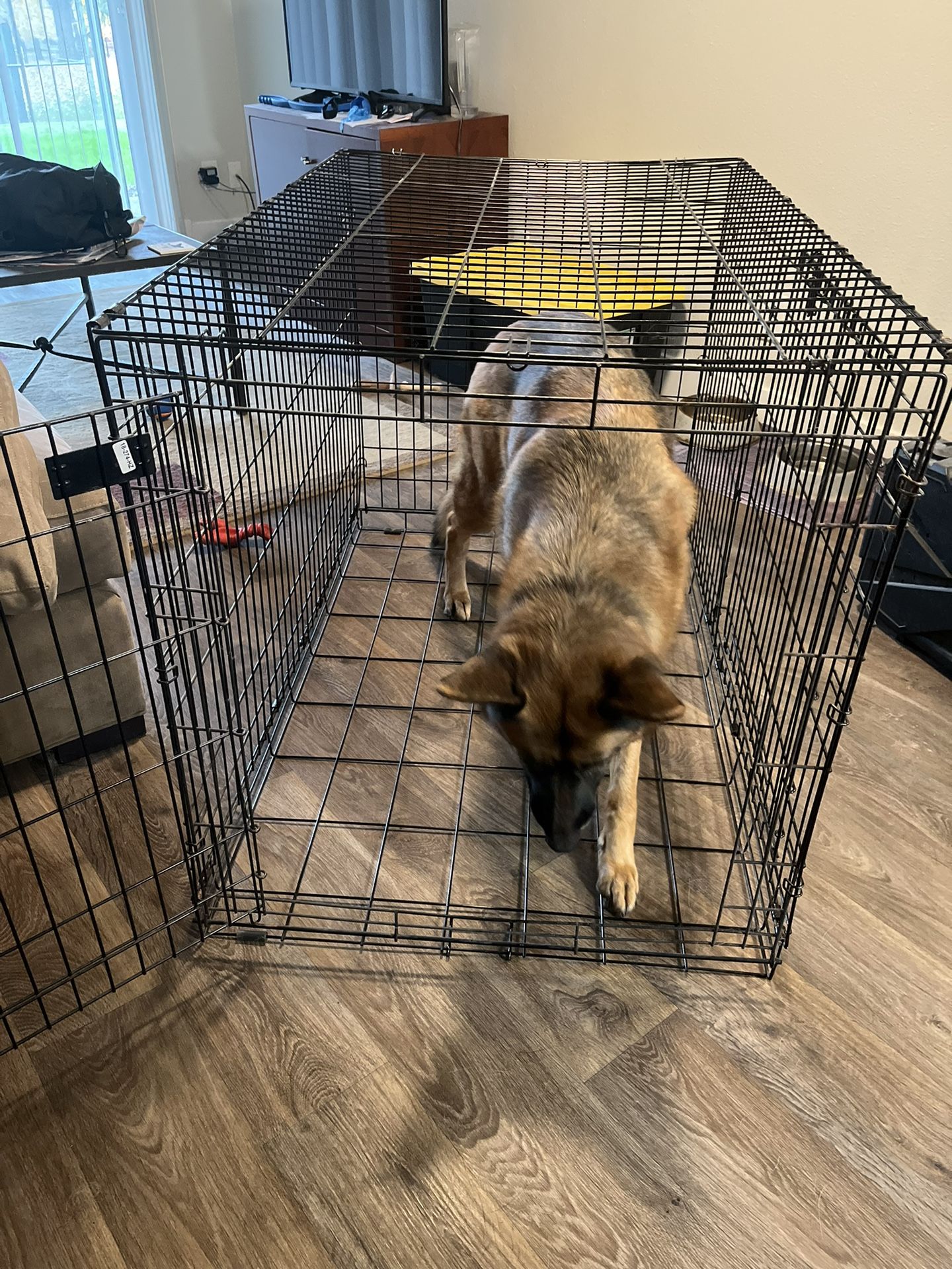 XL Dog Crate
