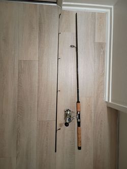 Ugly stick combo