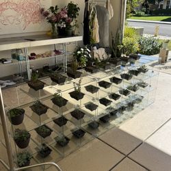 Glass Cube Shelves Display Case