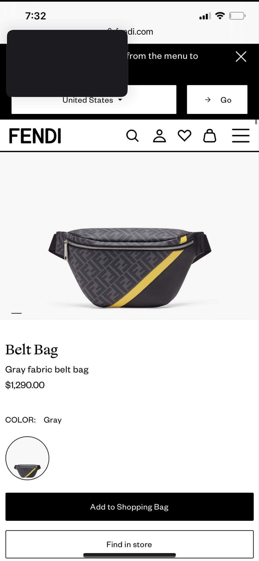 FENDI Belt Bag 