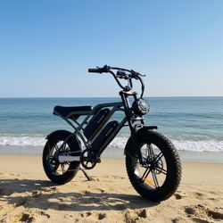 ebike electric bike Cychunter Dual Battery 28mph