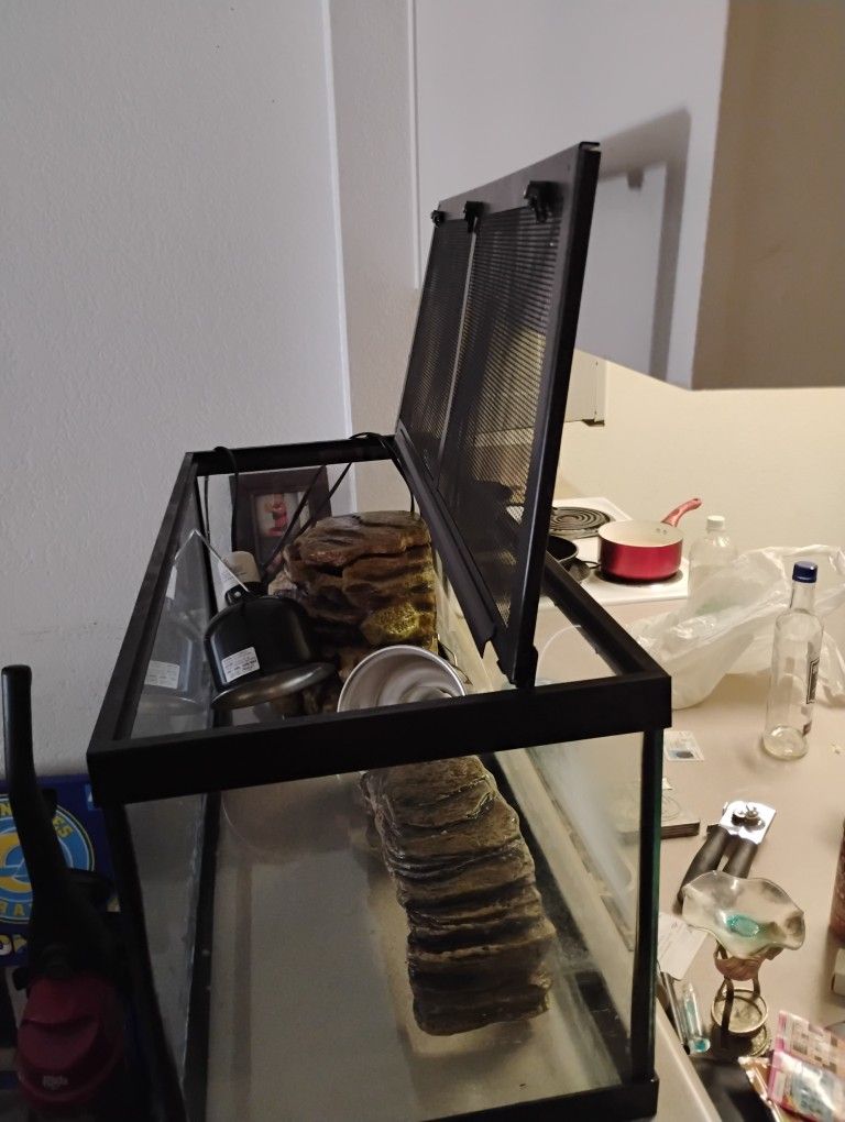 Turtle Or Fish Tank