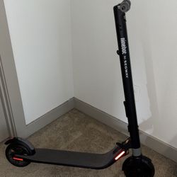 Ninebot By Segway Electric Scooter