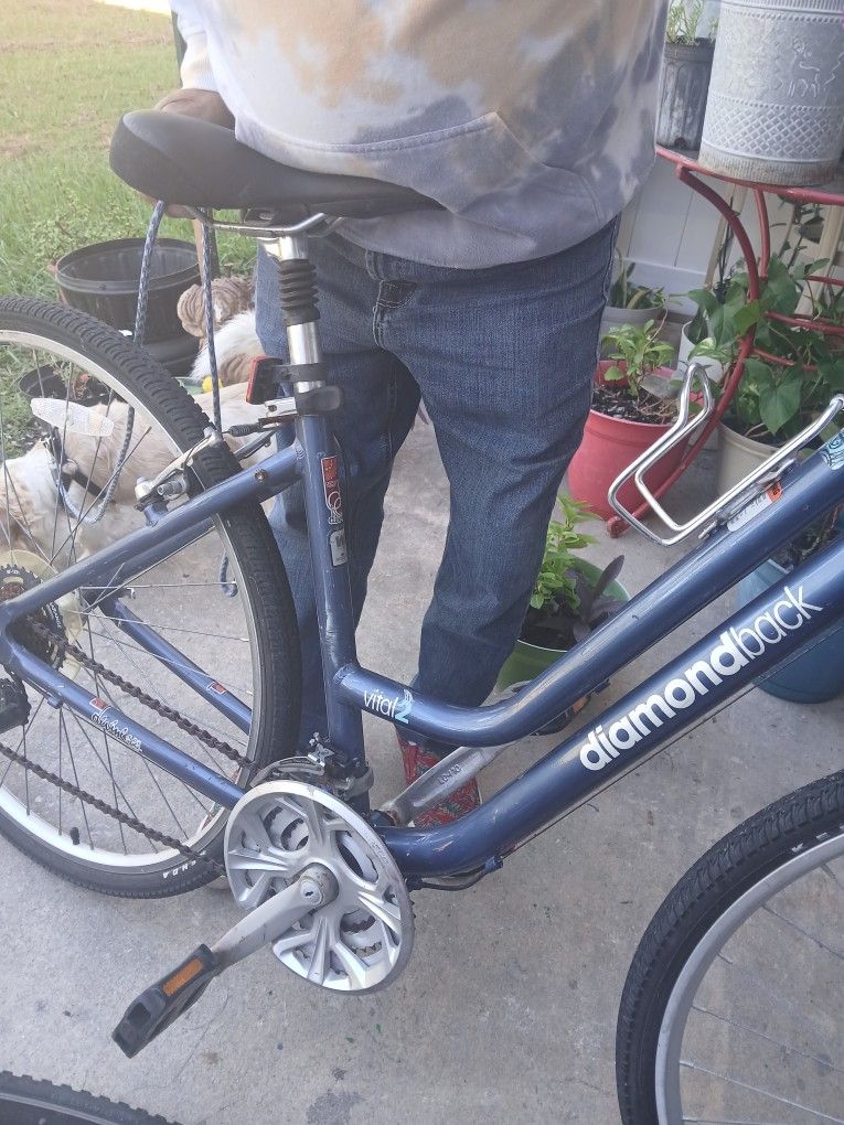 28 Inch Diomandback