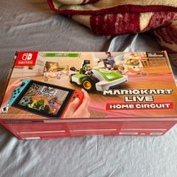 Mario Kart Live Home Circuit Luigi