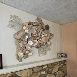 Large Sea Shell Wall Sculpture