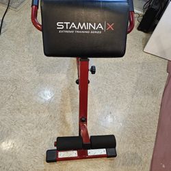 Stamina X Adjustable Ab, Back, and Core Strength Exercise, Sit-Up Fitness Hyperextension Weight Bench for At-Home Workouts
