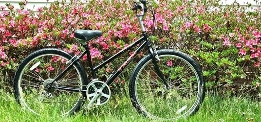 Trek 800 Sport