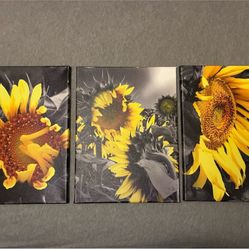 Sunflower Canvas