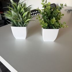Set of faux plants