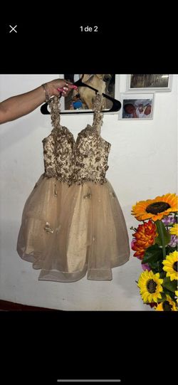 Quince Dama Vestido Champagne