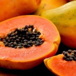 $ 5 papaya plant natural 