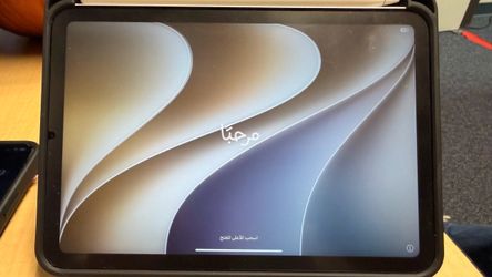 Apple iPad Mini 6th Gen 256GB WiFi/Cellular