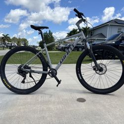 Giant Mountain Bike Large