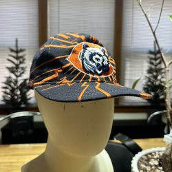 Chicago Bears SnapBack 