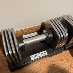 Weights 