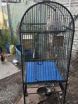 Bird Cage