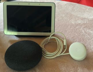 Google Nest Hub and Nest Mini
